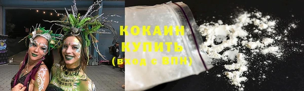 винт Лагань