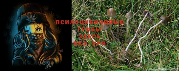 кокаин Лиски