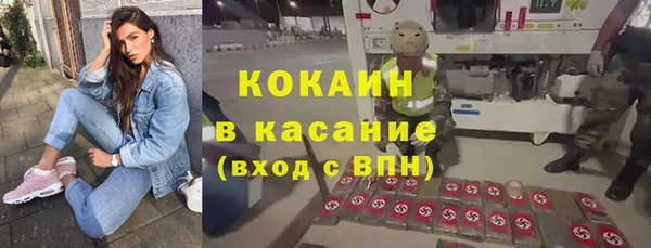 винт Лагань