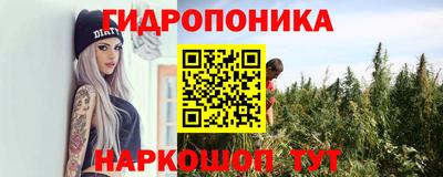 ешки Волжск