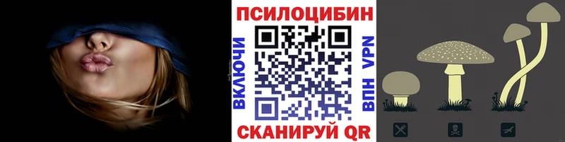 Галлюциногенные грибы Psilocybe  Родники 