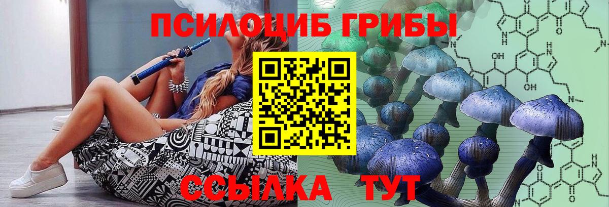 Псилоцибиновые грибы Psilocybine cubensis  Родники  Псилоцибиновые грибы Psilocybine cubensis 